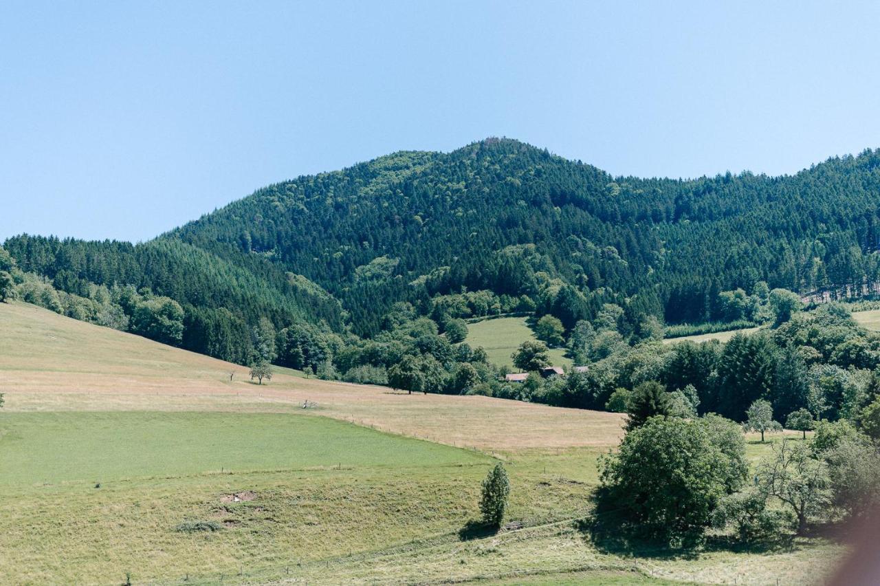 Moderne 2 Zi.-FeWo BlackForest Art Barrierefrei Nähe Freiburg Simonswald Exterior foto